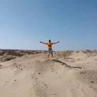 Simon O'Regan (@sioregan) 's Twitter Profile