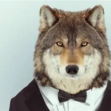 ErosHoffnung's profile picture. Alpha wolf