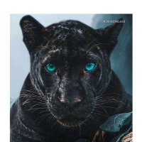 CITYZEN๐ (@cityzen100) 's Twitter Profile Photo CITYZEN๐ (@cityzen100) 's Twitter Profile Photo