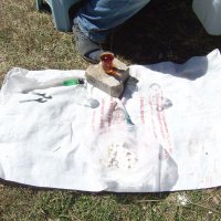 Kasap Hayri (@viii_murat) 's Twitter Profile Photo