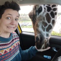 Lyndsay evans (@lyndsayevans11) 's Twitter Profile