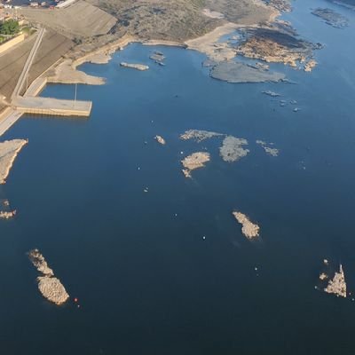 Traders_diary_'s profile picture. 