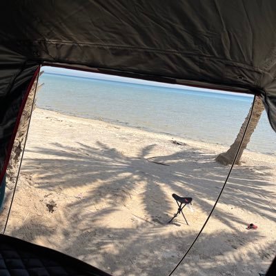 bubblepoa's profile picture. 