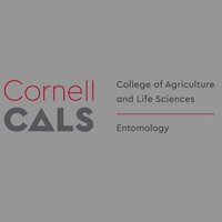 Department of Entomology@Cornell University(@CornellEnto) 's Twitter Profile Photo