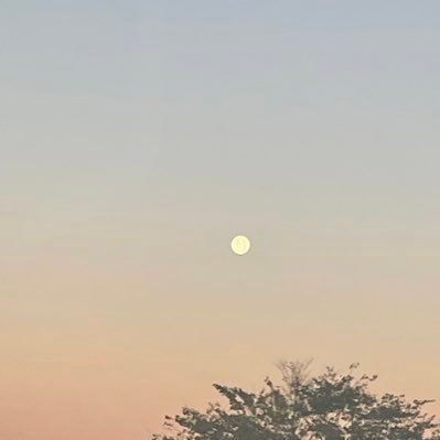 Lopez21Alina's profile picture. 21 years
She/her