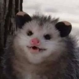 matbab_'s profile picture. 