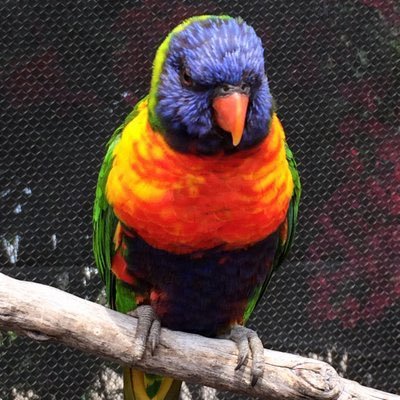 Growth Stock Investor. Focused on finding & trading True Market Leaders. Lead PM https://t.co/IY2tCOWtgq TML Model Portfolio.