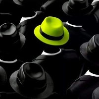 BuenaMuela (@fernandodont) 's Twitter Profile