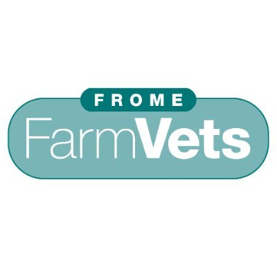A team of experienced, highly-qualified vets and vet technician offering a large range of services.