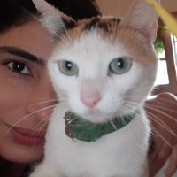 Nani👁 (@nanisspy) 's Twitter Profile Photo Nani👁 (@nanisspy) 's Twitter Profile Photo