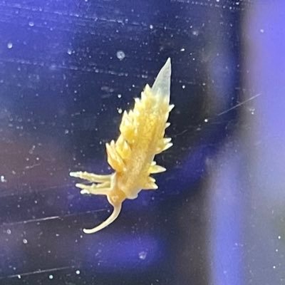 Slugさんのプロフィール画像