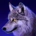 Althurius Wolf (@AlthuriusW) Twitter profile photo