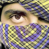 ريس المشجري (@almshjryrys) 's Twitter Profile