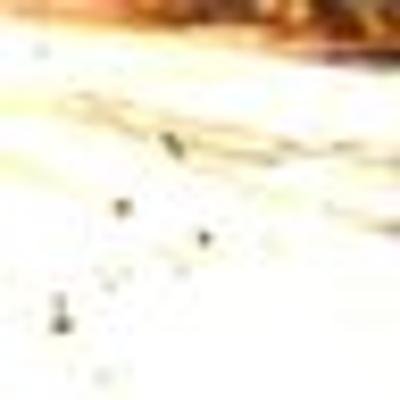 shroomadelicさんのプロフィール画像