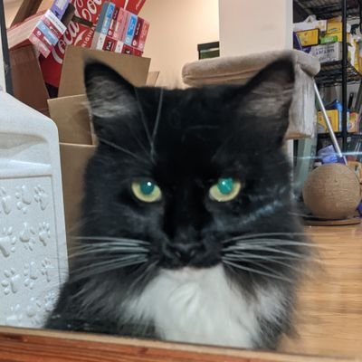 NotNolando's profile picture. For some reason I really like Wizards hoops 🏀