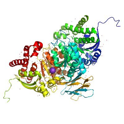 Stanford SBiophysics