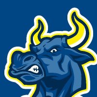 Lacivert Boğalar (@lacivertbogalar) 's Twitter Profile Photo