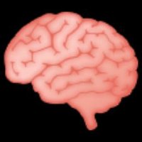 Big Brain Viral(@BigBrainViral) 's Twitter Profile Photo