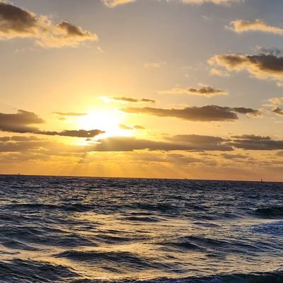 JJRC2013's profile picture. VENEZOLANO, MEDICO INTERNISTA,  MADRIDISTA....