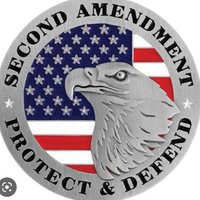 2A Patriot 🇺🇲 🌎 ☄️(@2A_Patriot_) 's Twitter Profileg