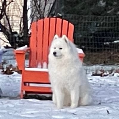 donshirley04's profile picture. An American Patriot ….USA UNITE