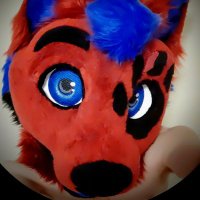Blackred Paws (@blackredpaws) 's Twitter Profile Photo Blackred Paws (@blackredpaws) 's Twitter Profile Photo