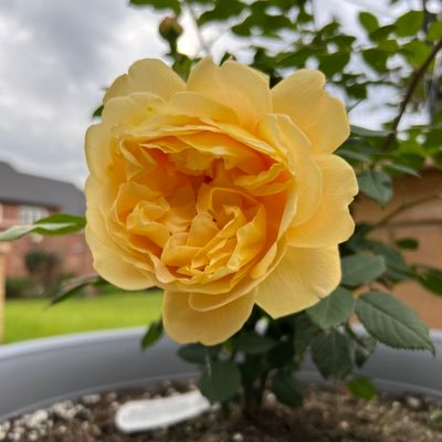 AtiyehSharifi's profile picture. 