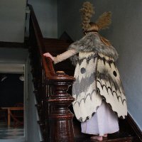 lidia elena (@lidiawl) 's Twitter Profile
