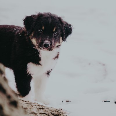 RobertM44533403's profile picture. 