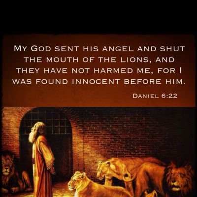 Critical Thinker 🧠 -
Truth Seeker 🔍-
GOD Believer 🙏🏼🙏🏼
#WWG1WGA - #MAGA🗽🇺🇸
Pure blood - GOD WINS
*Opinions are my own, don't like them then move on*