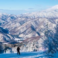 Hiro Saku #SKI 🎿⛷️(@HiroakiSakurai1) 's Twitter Profile Photo