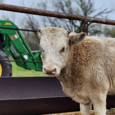 CircleMR_Morrow's profile picture. 