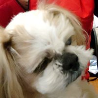 けんけん (@jkenken3767) 's Twitter Profile