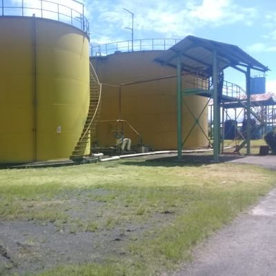 ABerlian9's profile picture. focus