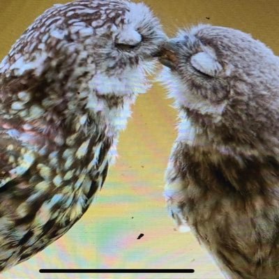 HoneyBeeBuzz17's profile picture. ✝️, 🐶, 100% patriot, conservative. My opinion only. No DM’s🚫☠️WEF, lefties, UN, WHO☠️ Climate change doesn’t exist. DJT for 🇦🇺 PM  🇦🇺 🇺🇸 🙏🏻