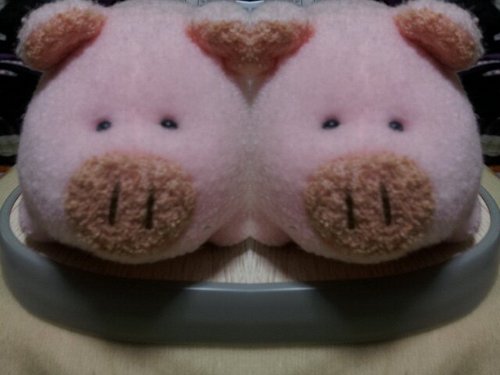 30代、男。読書が趣味です。古典文学が好きですが、現代文学も読んでます。谷崎潤一郎、川端康成、太宰治、サド、ゴーゴリ、カフカ、プルースト、村上龍、村上春樹、佐藤泰志、西村賢太。映画、音楽、野球(楽天イーグルスのファン)も好きです。あと動物(イヌ、ネコ、ブタなど)が好きで、動物園、ペットショップに見に行ったりします。