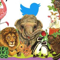 【休園中】甲府市遊亀公園附属動物園　公式ツイッター(@kofu_yuki_zoo) 's Twitter Profile Photo