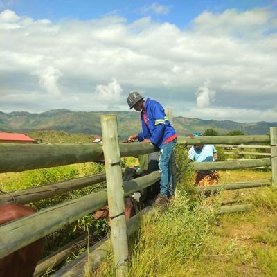 Kamogelo The farmer