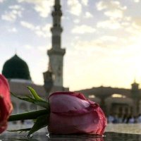 نرجس خاتون 🕊️ (@nhqwrdy) 's Twitter Profile
