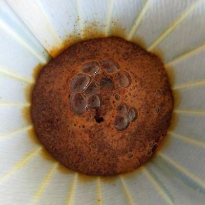 kncoffee2023's profile picture. コーヒー好き。コーヒー記録用。