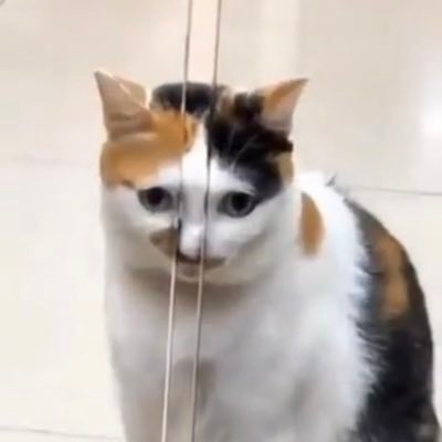 ri10a18's profile picture. 閲覧専用/↑20/公式ブロック済み/界隈・rps理解🧸 🥝 ❤️ 💘 🧲 😈 💧💖🎶 🎀⛓🎱 🔕 dirty