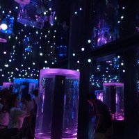 たか。 (@taka76291985) 's Twitter Profile Photo