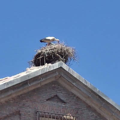 FrutosJoseluis1's profile picture. 