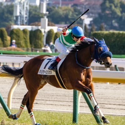 競馬好き。キャロット一口馬主。