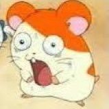 nase77nase's profile picture. プログラミング初心者 競プロに興味があります(やったことない)