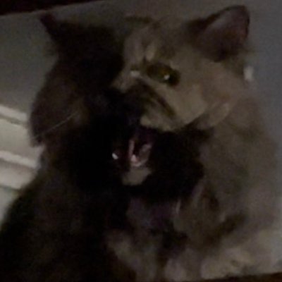 eugenedlfn's profile picture. 