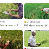 किसान पुत्र (@kisnaputragwl) 's Twitter Profile