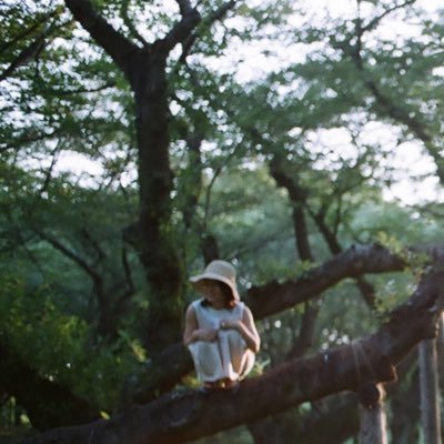 yumi_26y's profile picture. 写真、香り、音楽、旅、心に触れたもの。