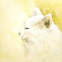 ちろ猫 (@chironekomaturi) 's Twitter Profile Photo ちろ猫 (@chironekomaturi) 's Twitter Profile Photo