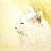 ちろ猫 (@chironekomaturi) Twitter profile photo ちろ猫 (@chironekomaturi) Twitter profile photo